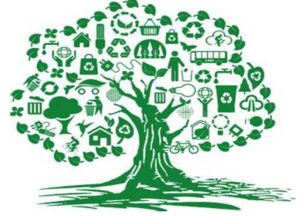 建設中國特色社會主義生態(tài)文明的路徑探索——以環(huán)保技術開發(fā)為核心